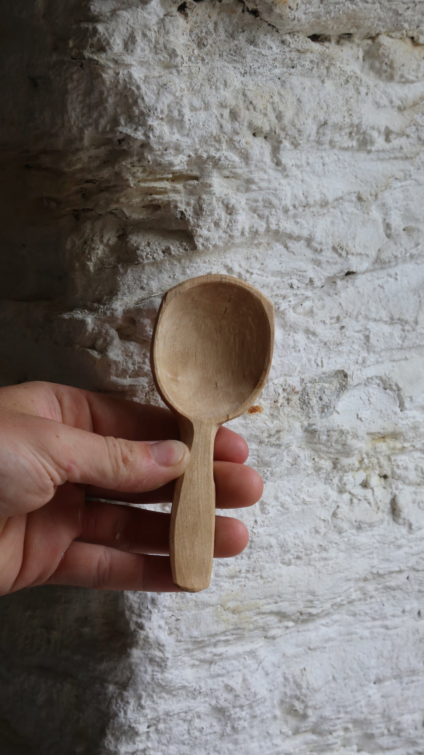 Slightly Spalted Birch